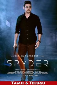 Spyder