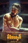 Pailwaan